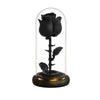 Black Rose Forever Flower in LED Glass Dome – Luxury Gift