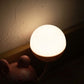 USB rechargeable animal table lamp