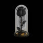 Black Rose Forever Flower in LED Glass Dome – Luxury Gift