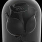 Black Rose Forever Flower in LED Glass Dome – Luxury Gift