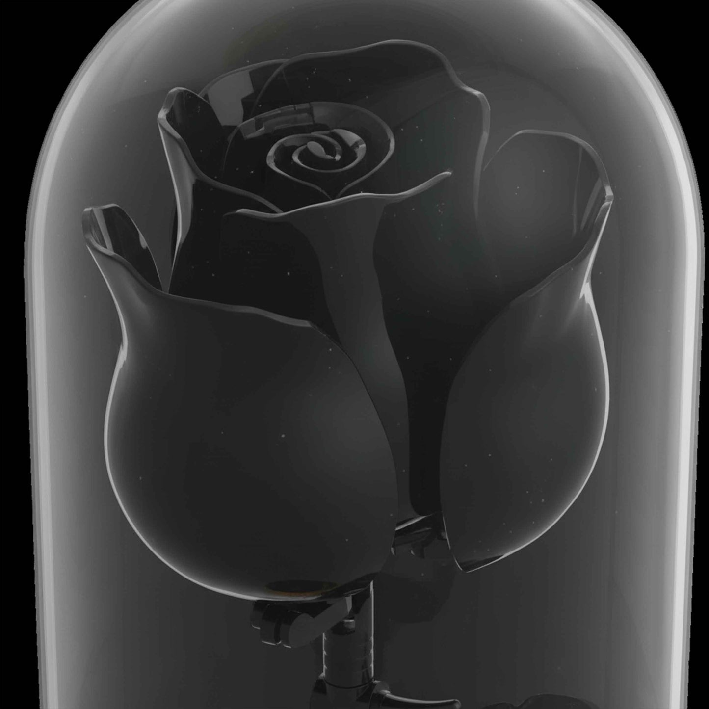 Black Rose Forever Flower in LED Glass Dome – Luxury Gift