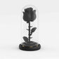 Black Rose Forever Flower in LED Glass Dome – Luxury Gift