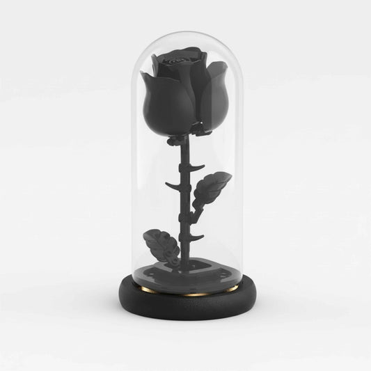 Black Rose Forever Flower in LED Glass Dome – Luxury Gift