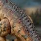 Interactive Dinosaur Toy with Sound – Velociraptor & Giganotosaurus for Kids in Qatar