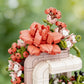 Ramblers Flower House Building Blocks Set with 1285 Pieces – Decorative Floral Home Miniature Brick Model for Creative Building and Display | Qatar
